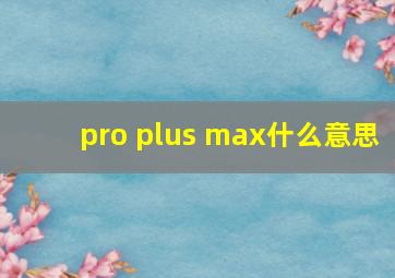 pro plus max什么意思